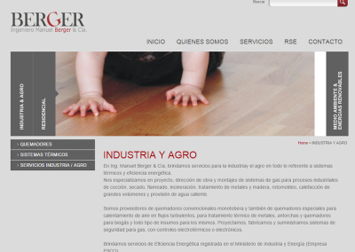 Sitio web empresa ingeniería